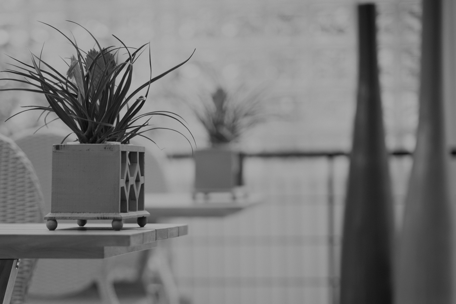 black and white picture of a flower vase