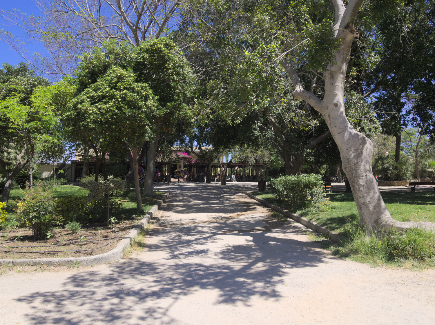 Municipal Garden of Chania