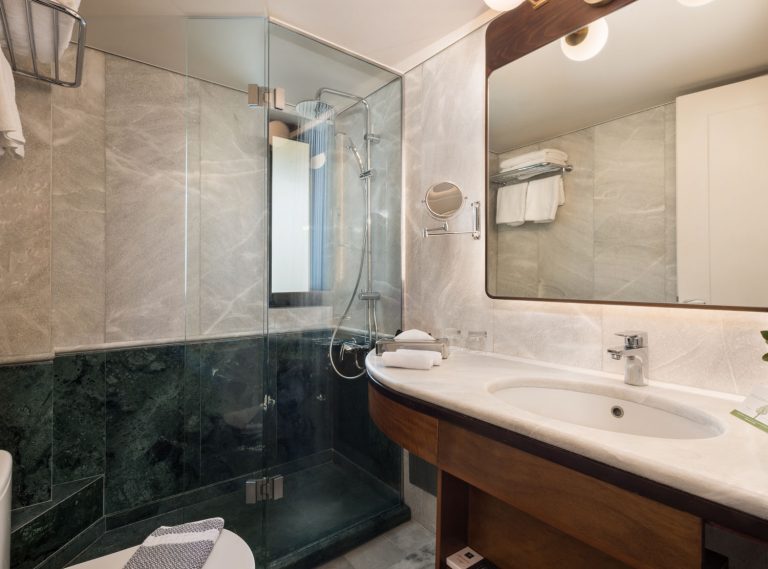 Standard Room Bathroom View